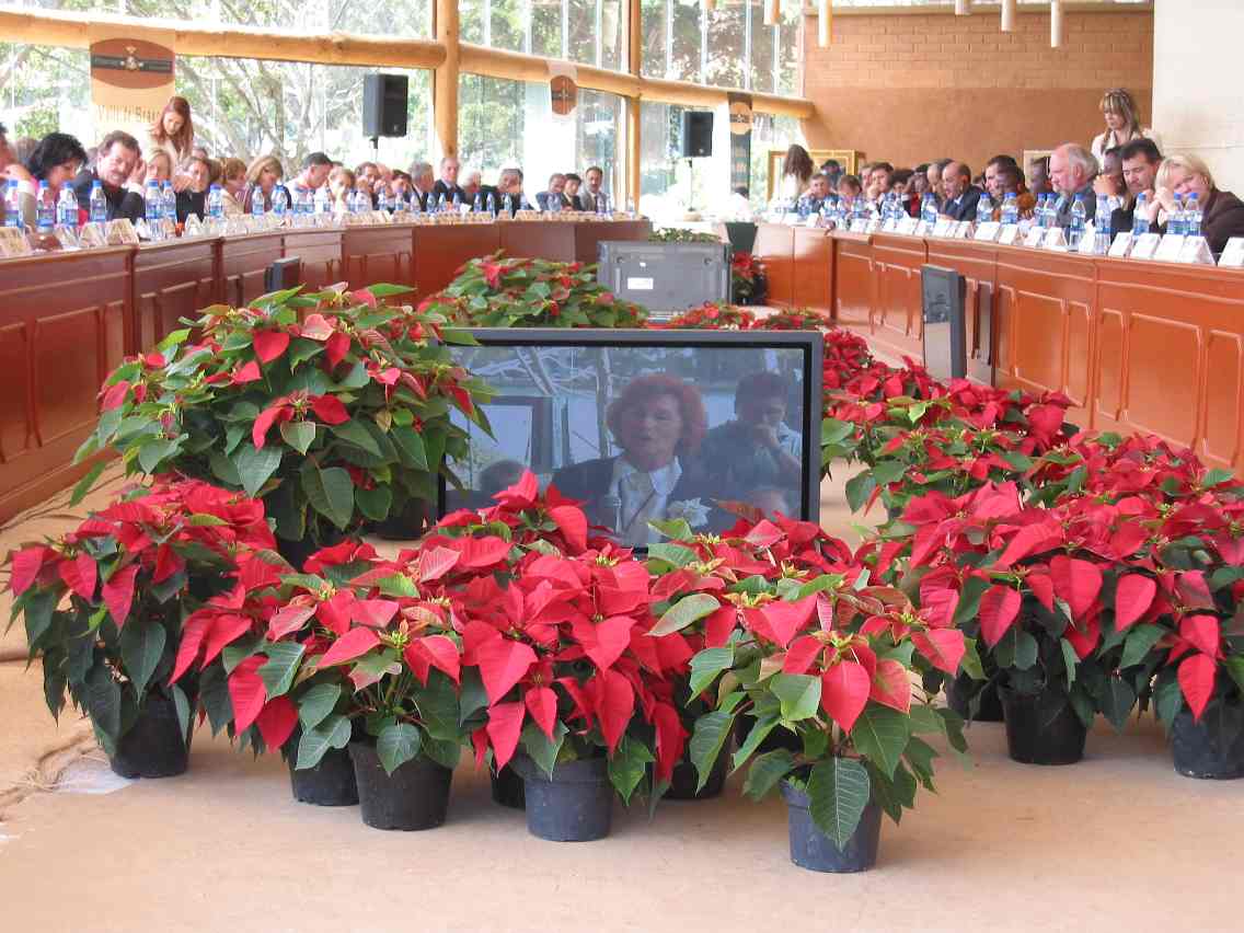 47th Annual Meeting